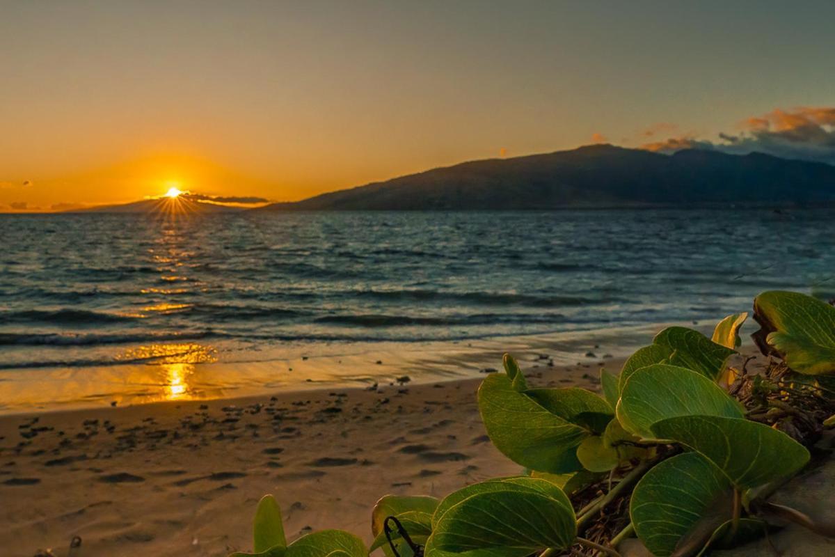 Maui Sunset B-115 Apartment Kihei Exterior foto